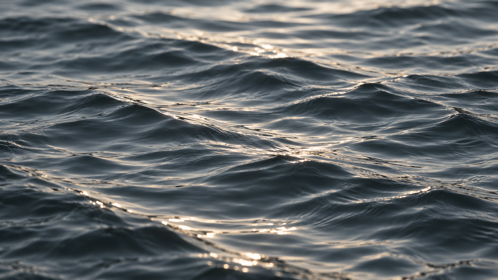 Ripples and reflected light on the sea surface.